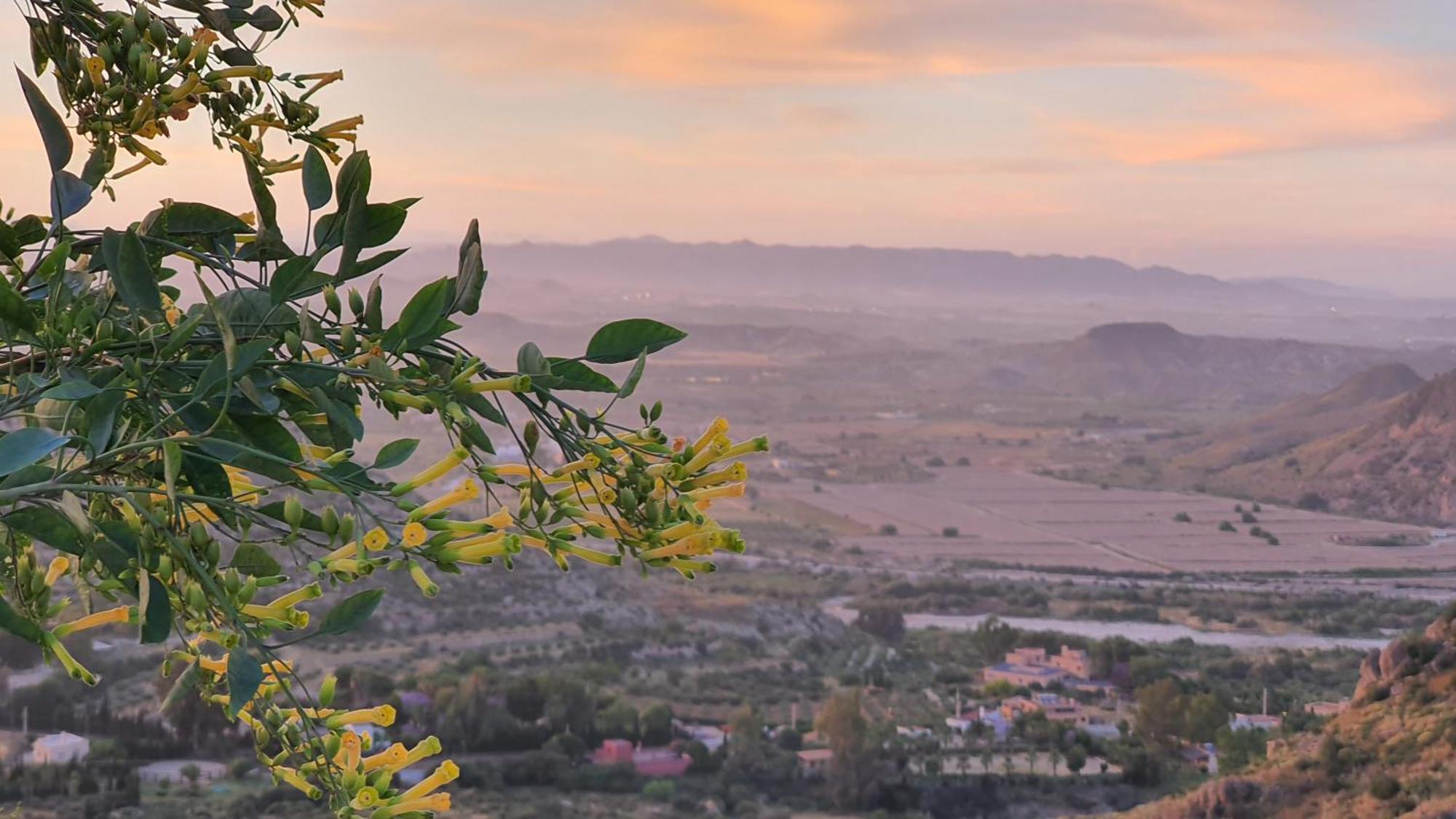 Casanova En Terreros Villa San Juan De Los Terreros Ngoại thất bức ảnh
